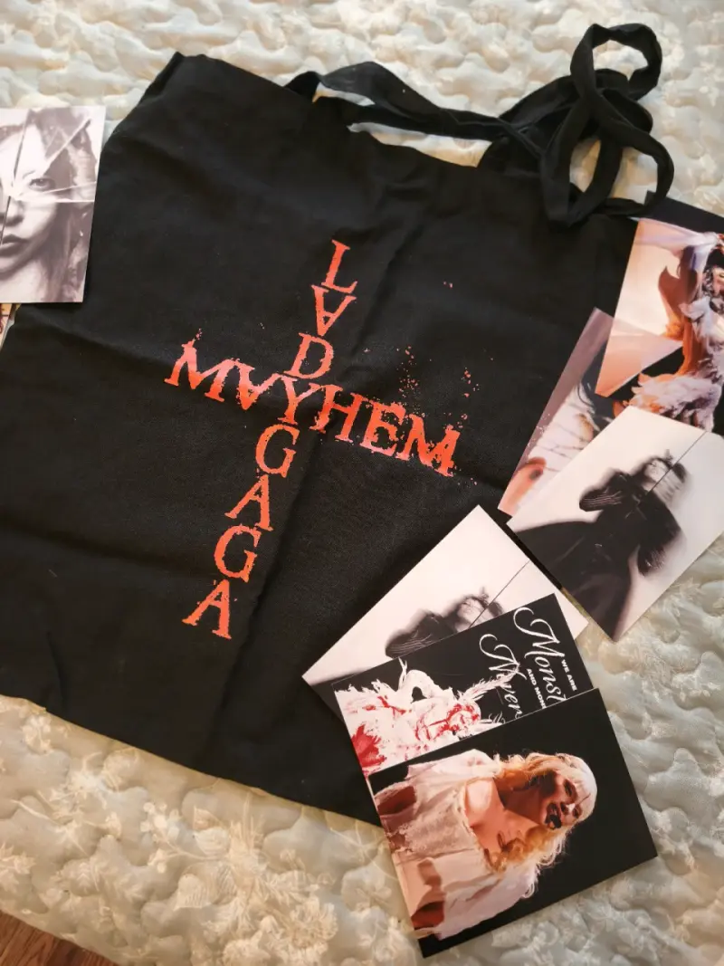Totebag Lady Gaga + fotos - 2