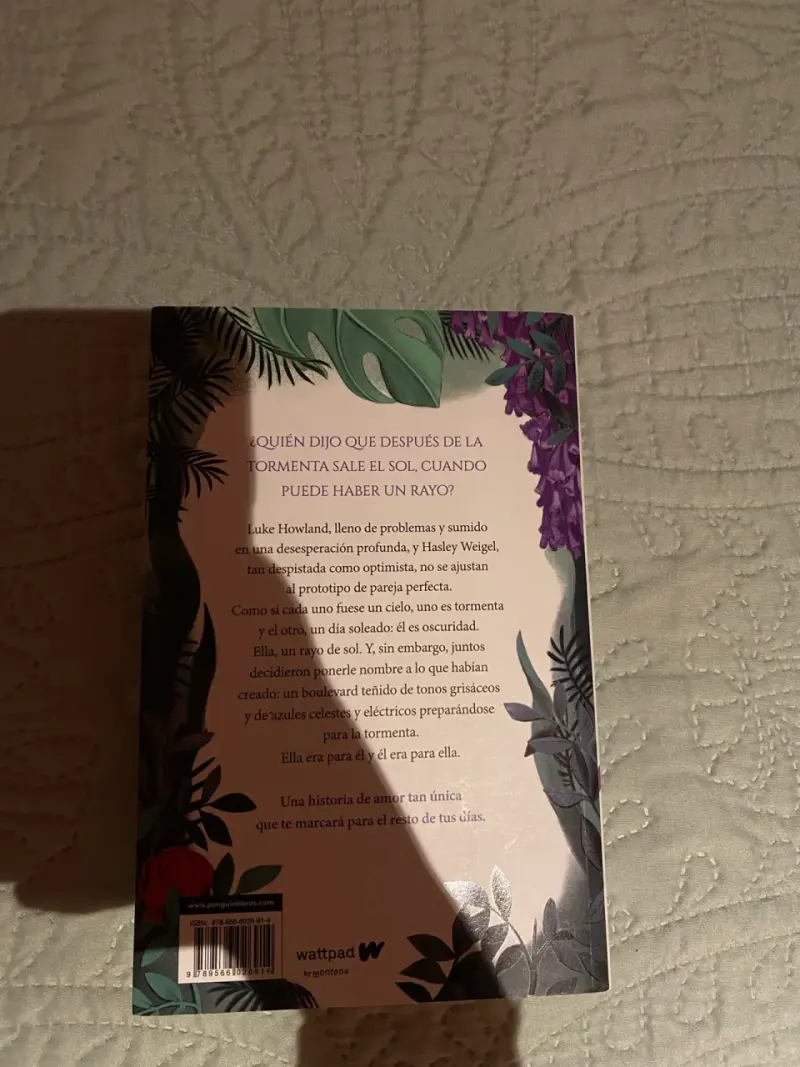 Libro 1 Boulevard - 2