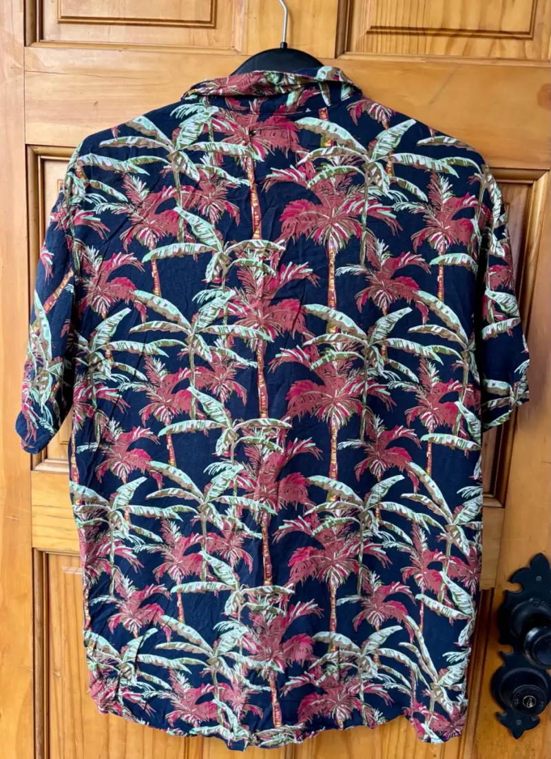 Camisa hawaiana - 2