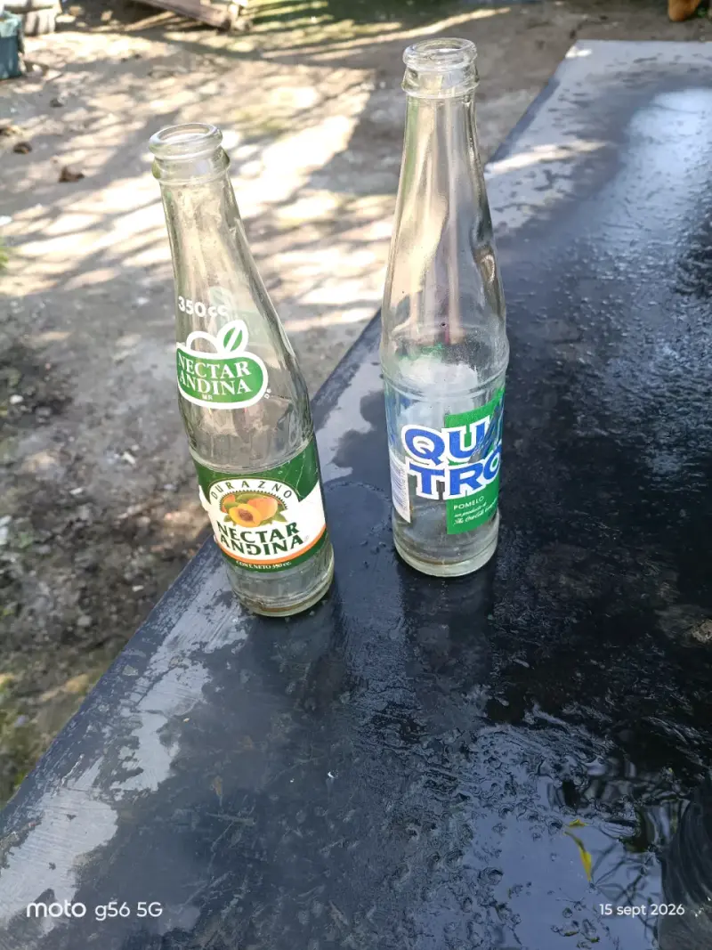 Botellas ochentas vidrio vintage Coca-Cola y Vital - 4