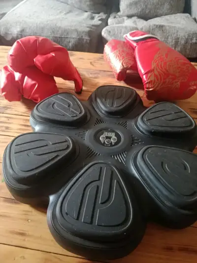 Plataforma de entrenamiento con guantes de boxeo - miniatura 1
