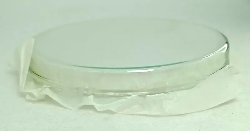Placa de Petri de vidrio 100x15 mm Normax - 2