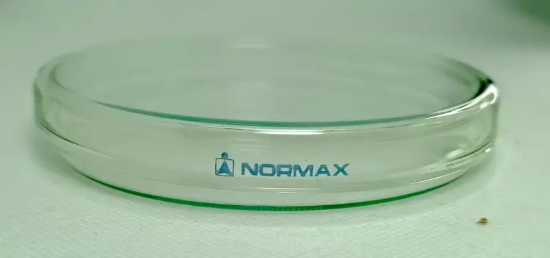 Placa de Petri de vidrio 100x15 mm Normax - 4