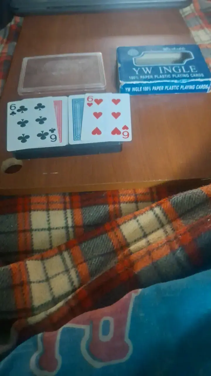 Baraja de Cartas Plásticas Lavables YW Ingle - 4