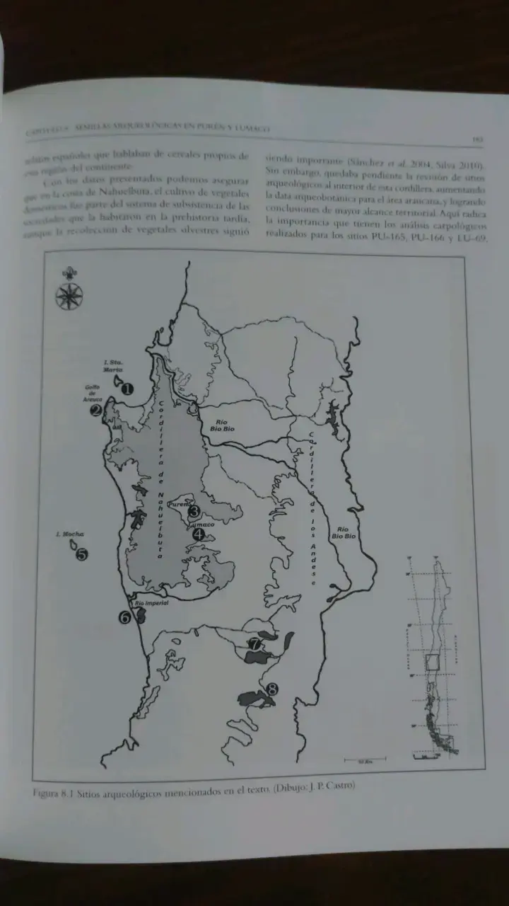 Libro 'La Organización Política Temprana de los Mapuche' - 3