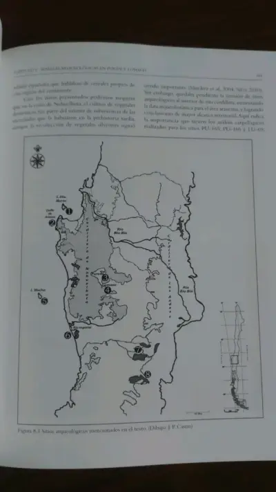 Libro 'La Organización Política Temprana de los Mapuche' - miniatura 3
