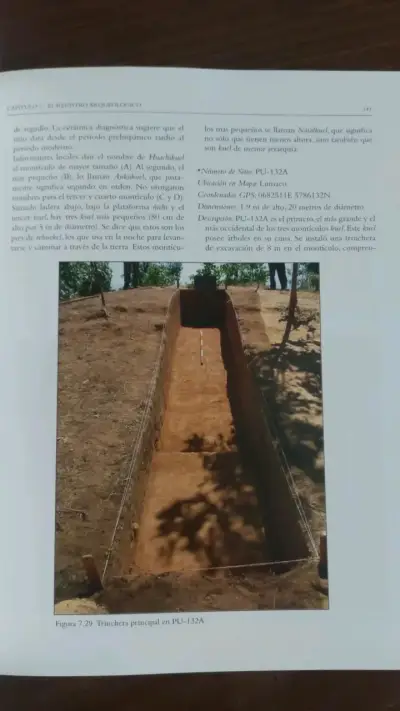 Libro 'La Organización Política Temprana de los Mapuche' - miniatura 4