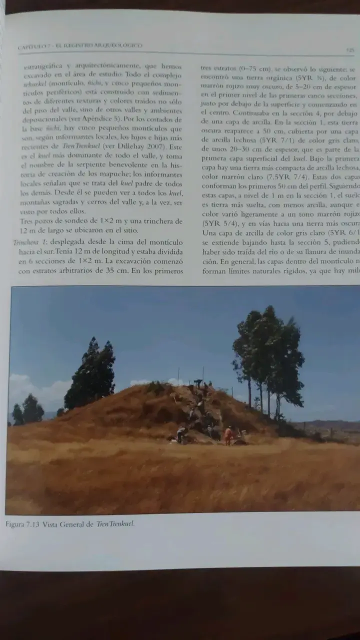 Libro 'La Organización Política Temprana de los Mapuche' - 5