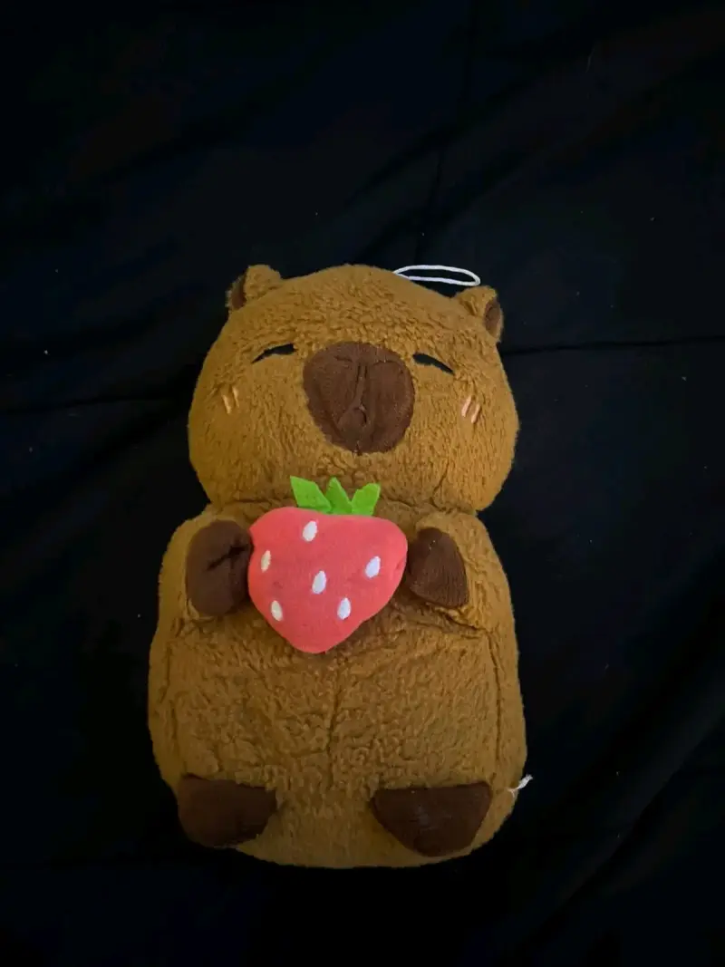 Peluche de oso con fresa suave y tierno - 1