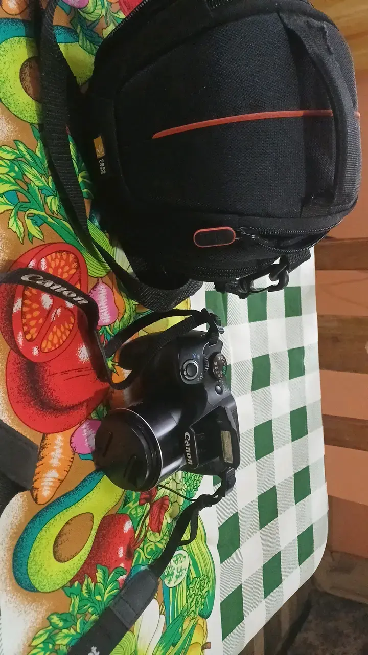 Cámara Canon con bolso y cargador - 1