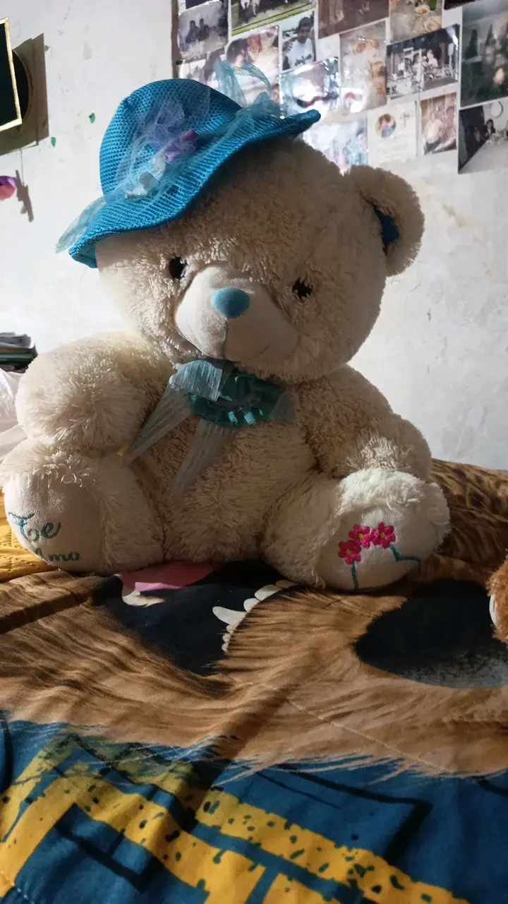 Osito de peluche con sombrero azul - 1