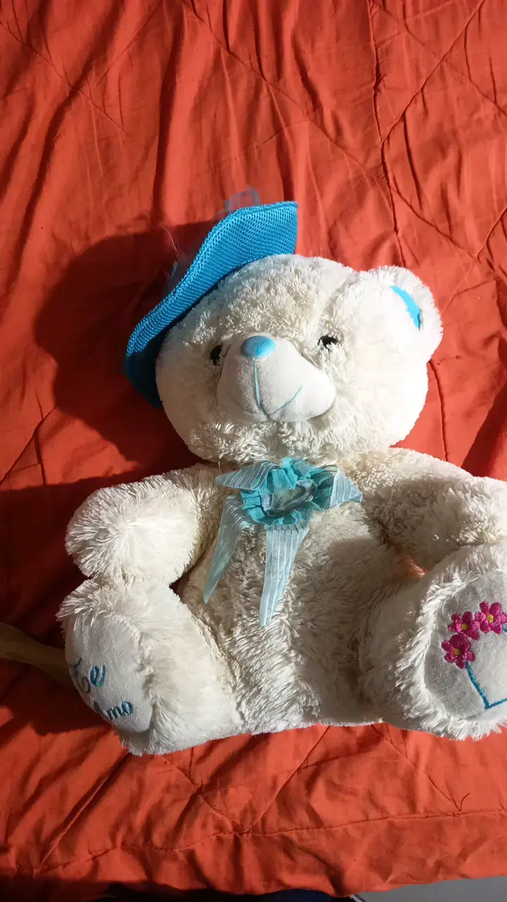 Osito de peluche con sombrero azul - 2