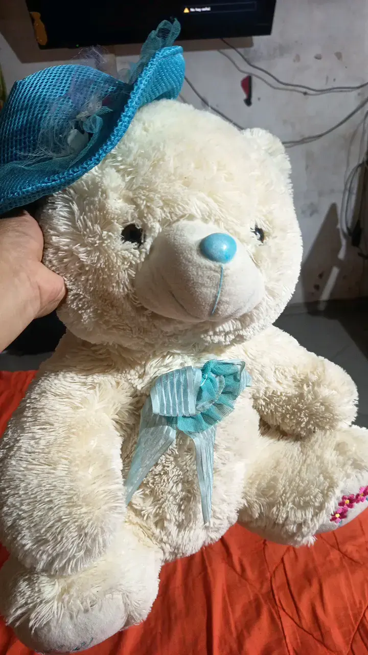 Osito de peluche con sombrero azul - 3