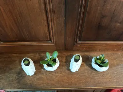 Conjunto de maceteros decorativos con plantas suculentas - miniatura 1