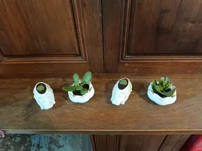 Conjunto de maceteros decorativos con plantas suculentas - miniatura 3