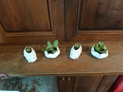 Conjunto de maceteros decorativos con plantas suculentas - miniatura 4