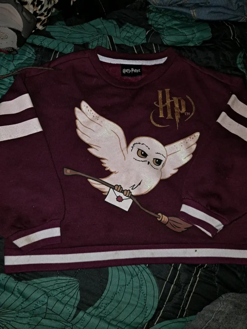 Polerón Harry Potter burdeos con diseño de lechuza