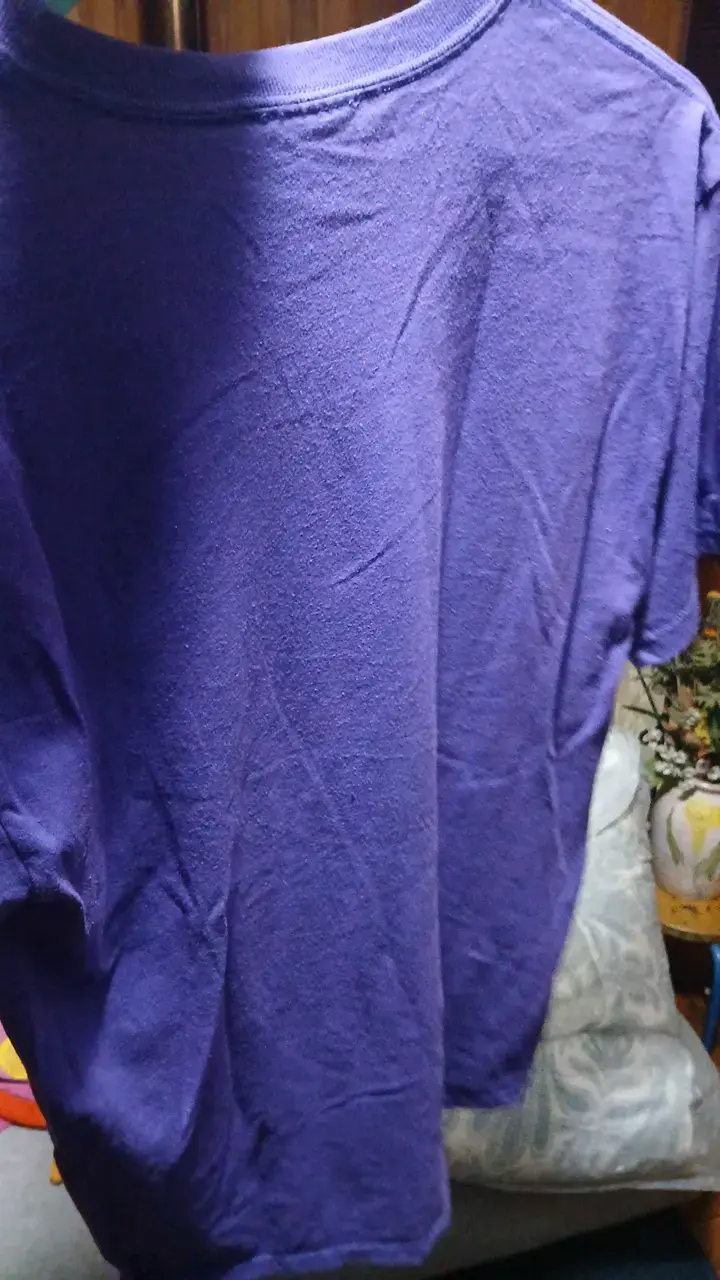 Polera morada Country Springs All Stars - 4