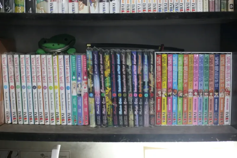 Colección de mangas variados originales - 3