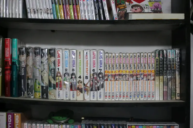 Colección de mangas variados originales - 4