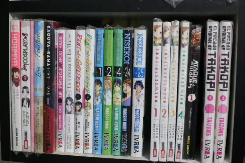 Colección de mangas variados originales - 5