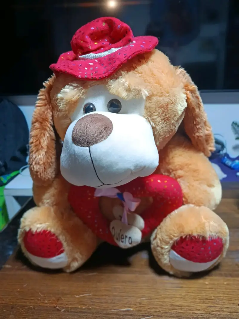 Peluche de Perro perfecto para regalo