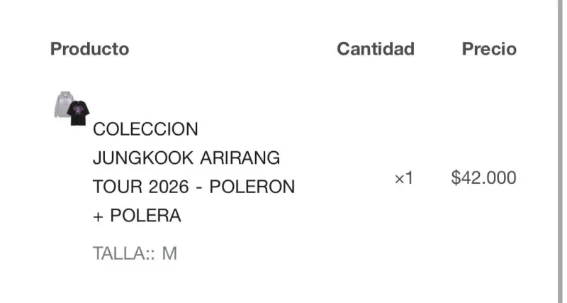 Set de Polera y Polerón Arirang Tour 2026 - 5