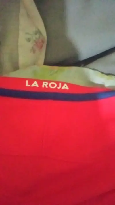 Camiseta Roja Selección Chilena Nike 2016 - miniatura 3