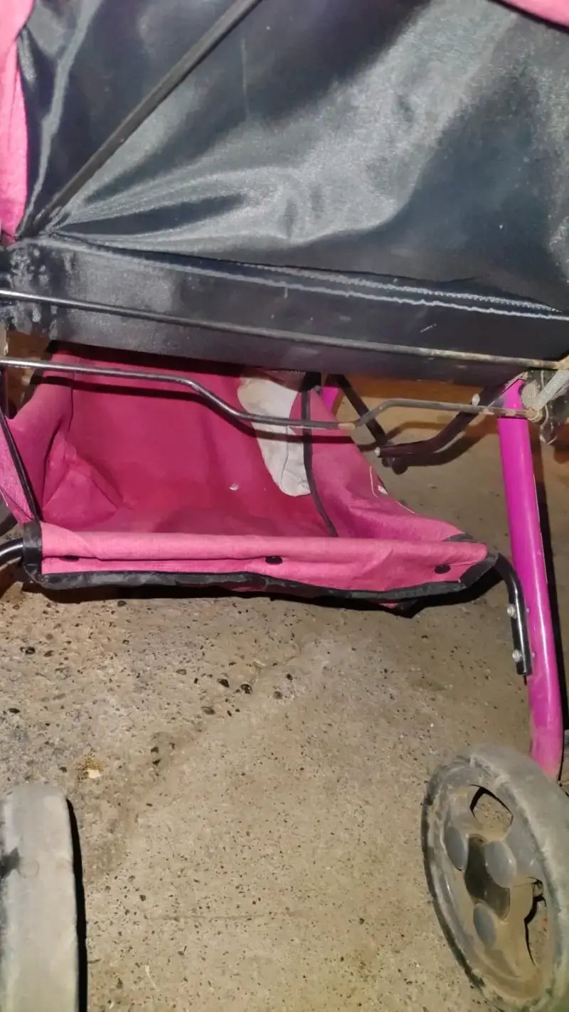 Coche de bebé rosa plegable marca Leegle - 2
