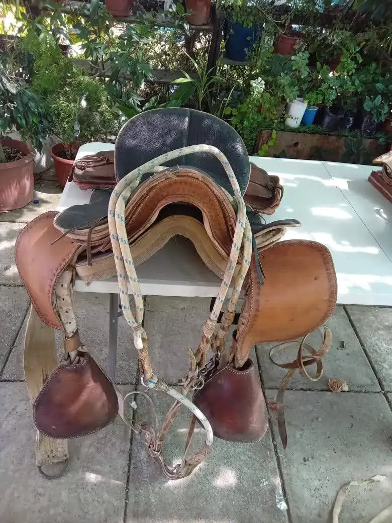Montura de cuero para caballo en buen estado - 1