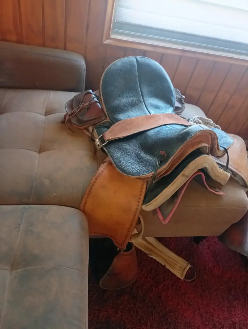 Montura de cuero para caballo en buen estado - 3