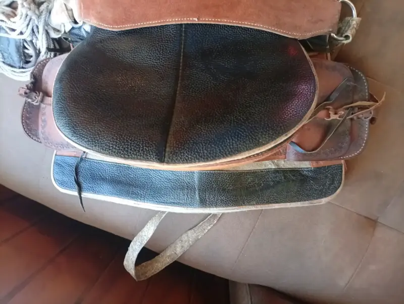 Montura de cuero para caballo en buen estado - 5