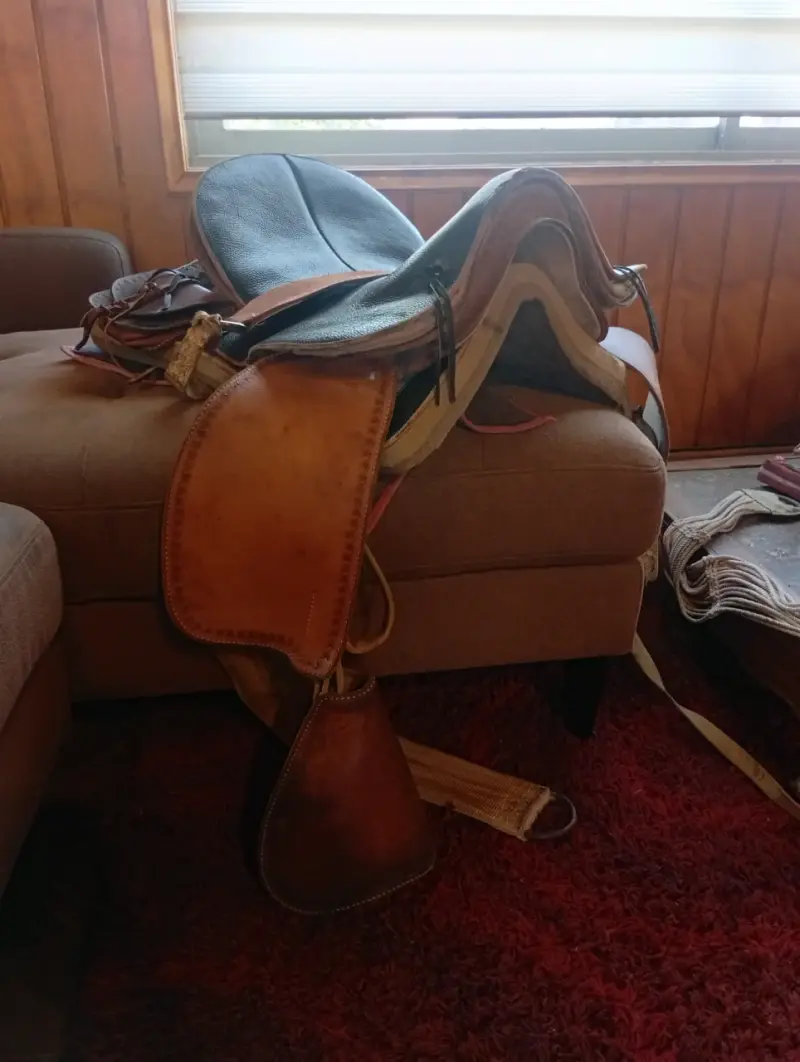 Montura de cuero para caballo en buen estado - 6