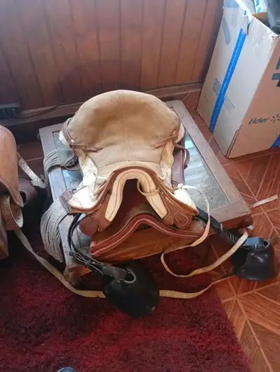 Montura para caballo en buen estado - miniatura 1