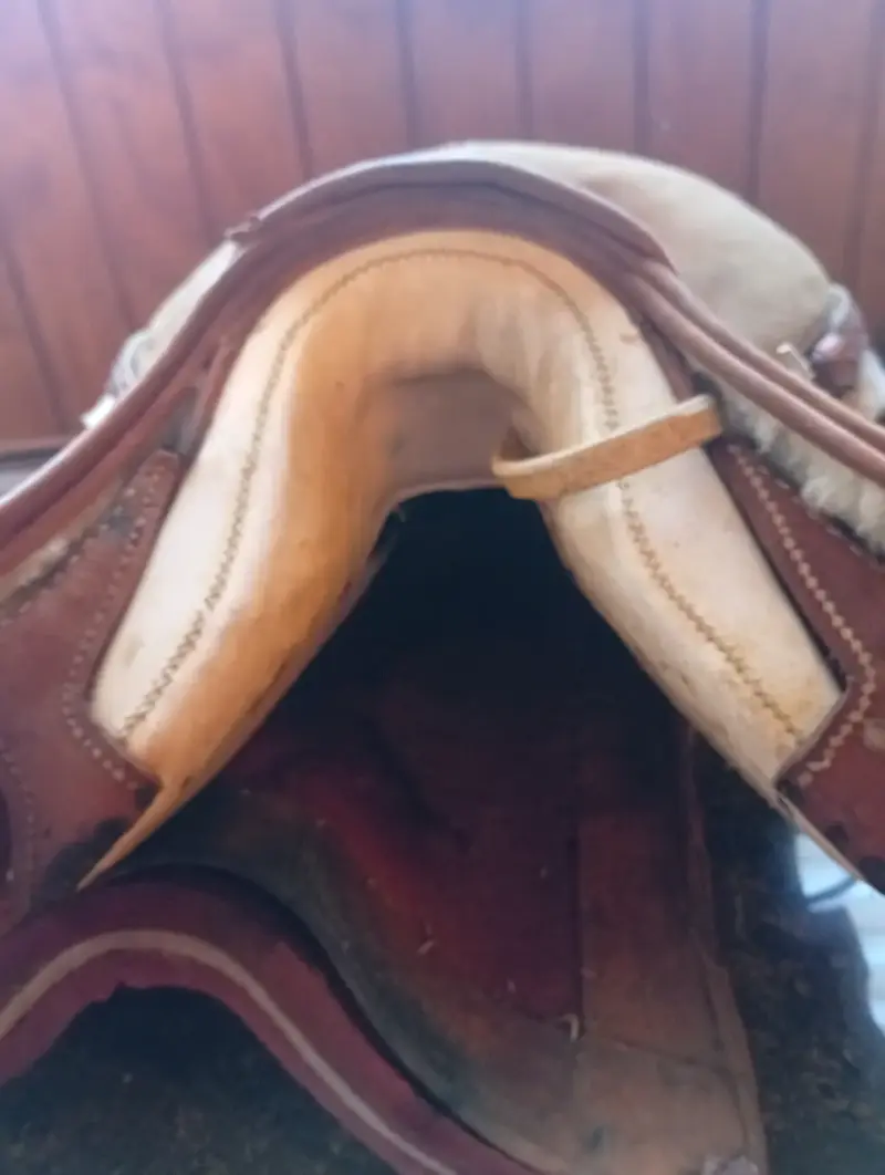 Montura para caballo en buen estado - 2