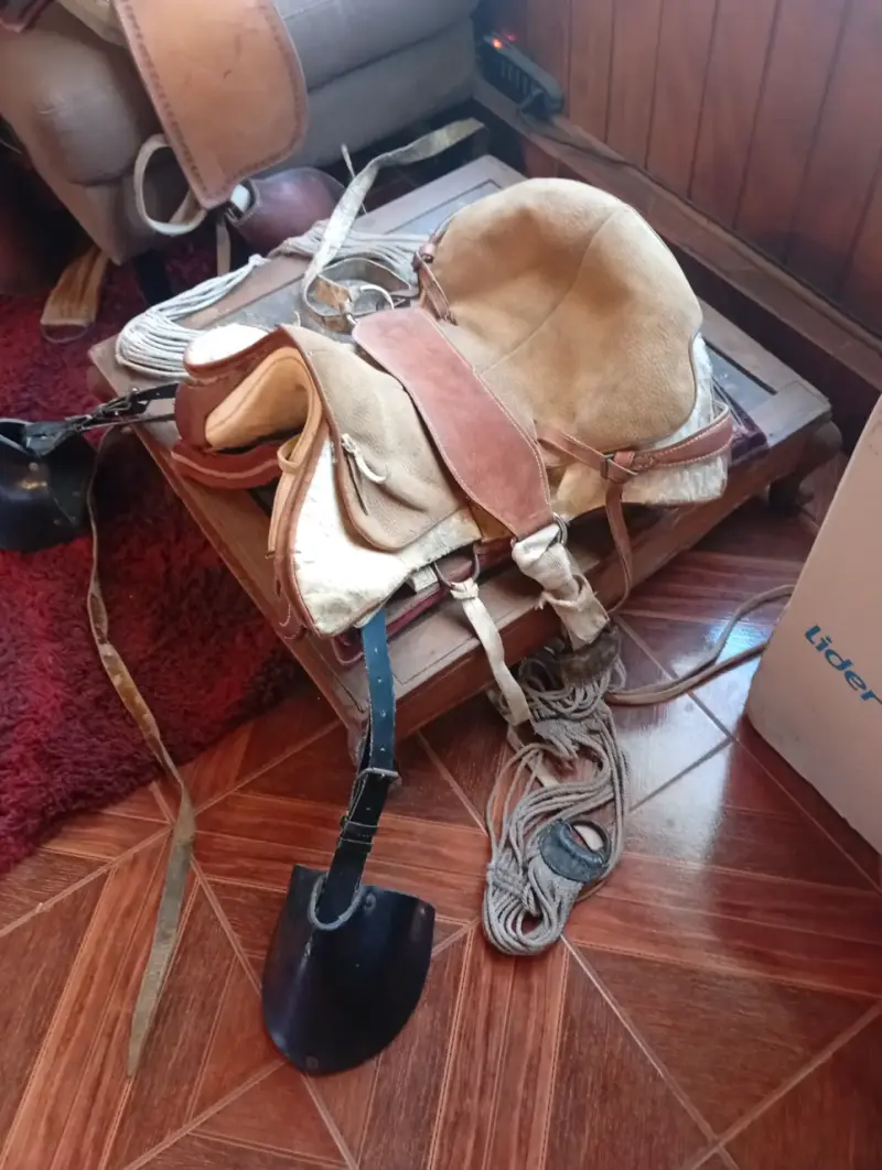 Montura para caballo en buen estado - 3