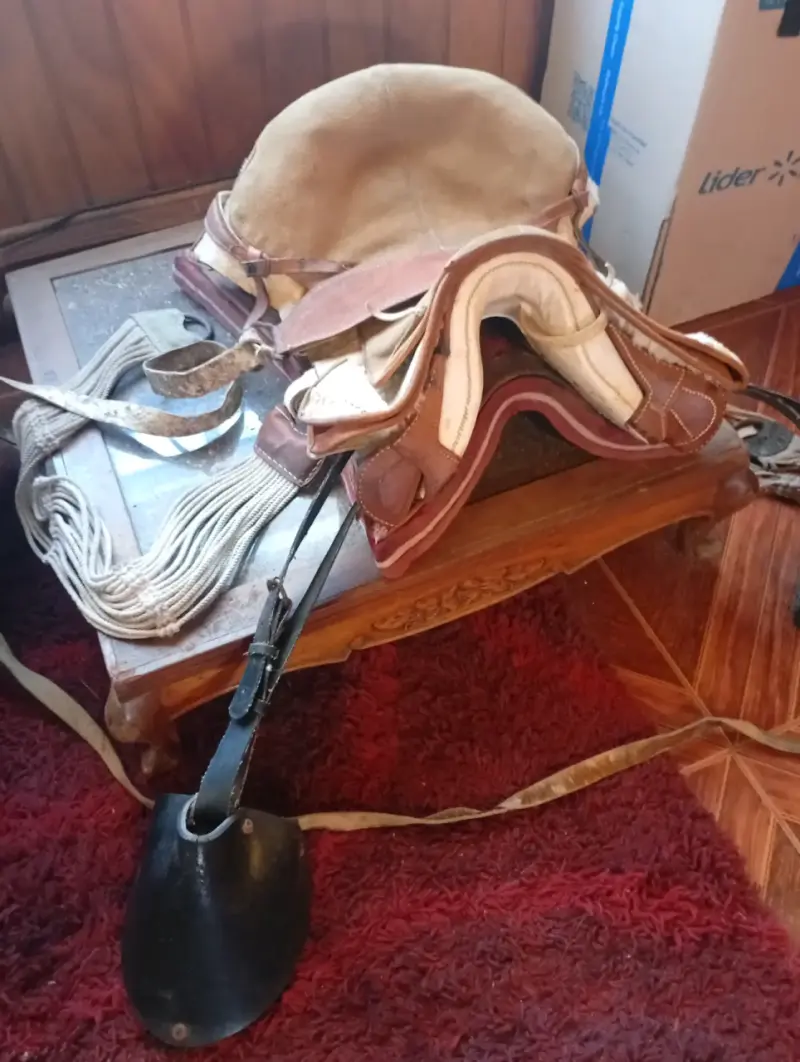 Montura para caballo en buen estado - 4
