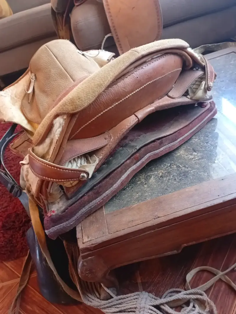 Montura para caballo en buen estado - 6