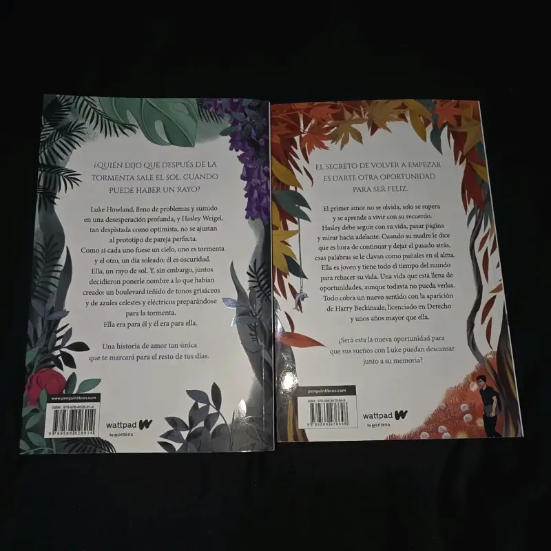 Pack 2 Libros Boulevard de Flor M. Salvador - 2