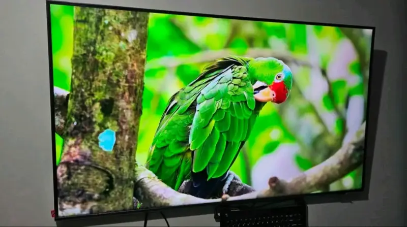 Samsung Crystal UHD 50" 4K Serie DU8000 - 3