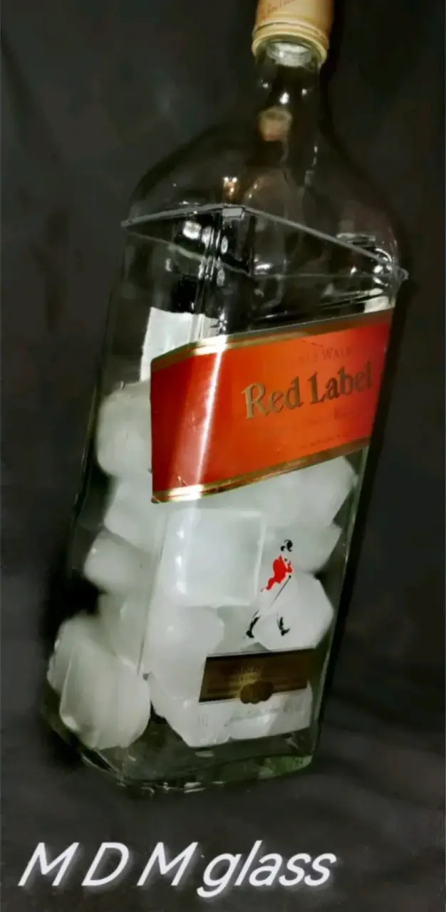 Hieleras de botellas recicladas. - 1