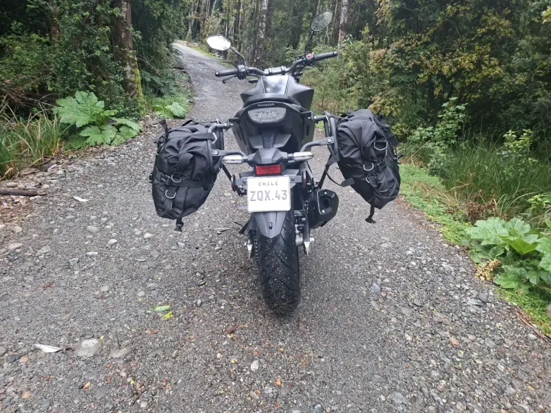Moto Honda twister con alforjas laterales - 6