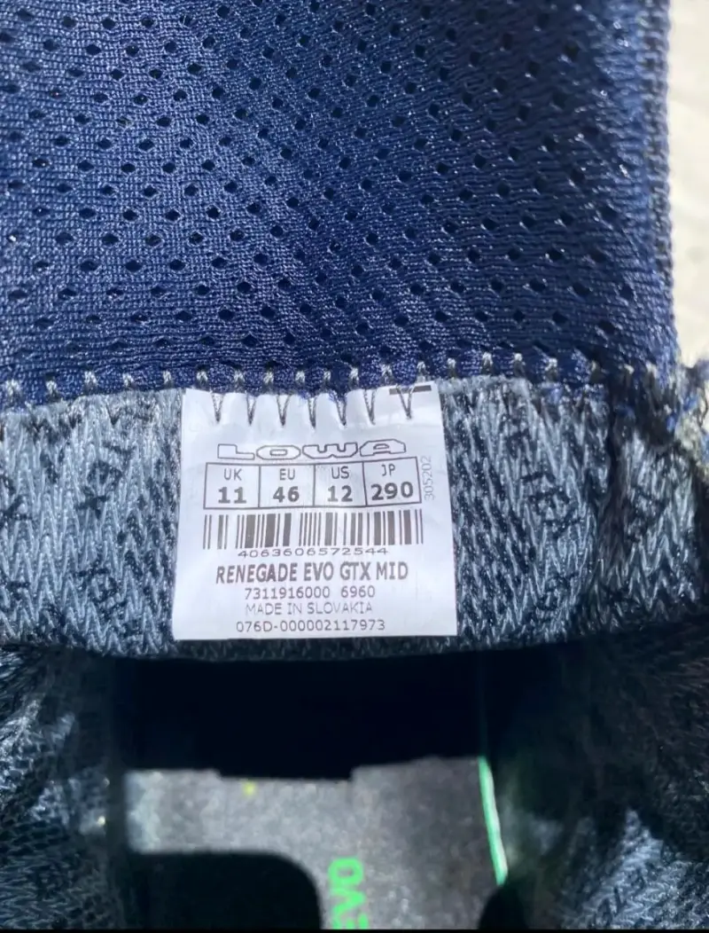 Botas de senderismo Lowa Renegade Evo GTX Mid - 1