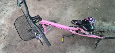Bicicleta infantil Oxford Luna rosa con canasto - miniatura 1
