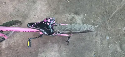 Bicicleta infantil Oxford Luna rosa con canasto - miniatura 3