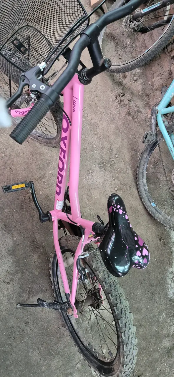 Bicicleta infantil Oxford Luna rosa con canasto - 4