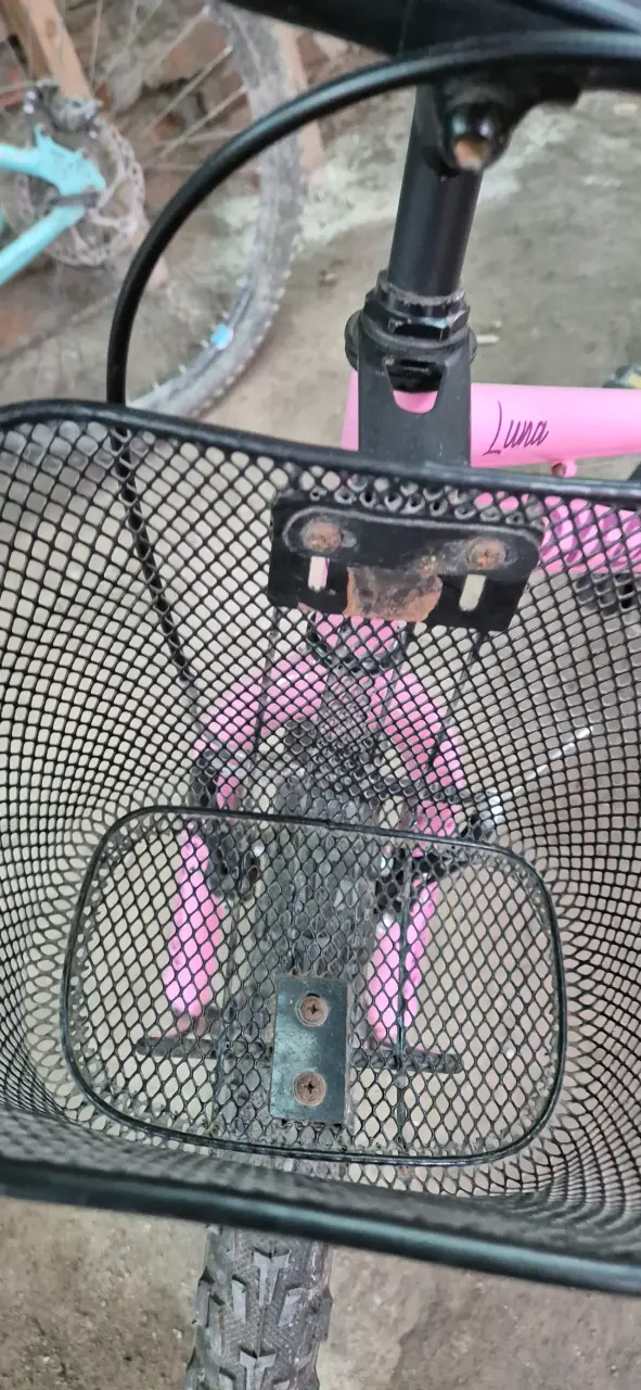 Bicicleta infantil Oxford Luna rosa con canasto - 5