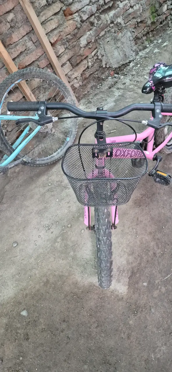 Bicicleta infantil Oxford Luna rosa con canasto - 6