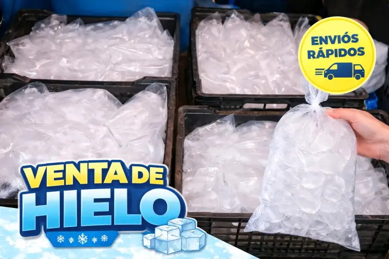 Bolsas de hielo 1kg - 2