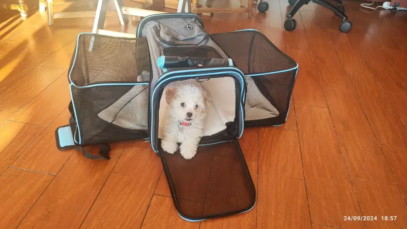 Transportadora de mascotas plegable con ventilación - 2